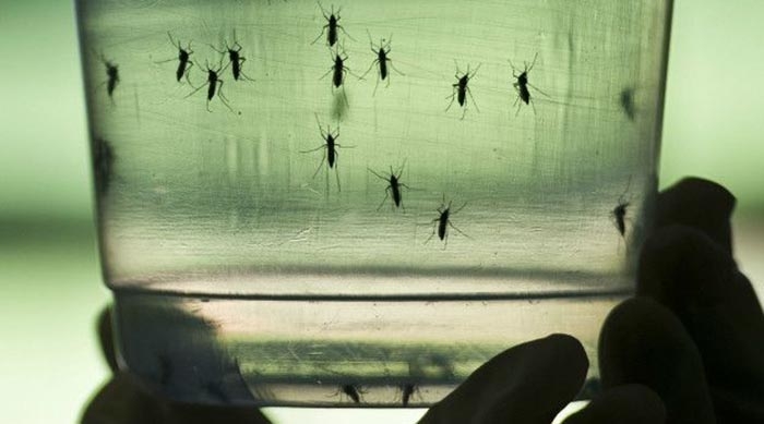 Problemas y soluciones para el Dengue