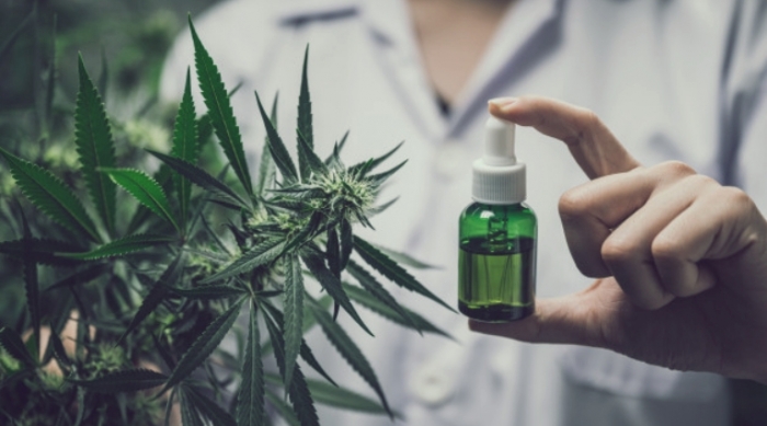 Cannabis medicinal: aportes y reflexiones desde la academia
