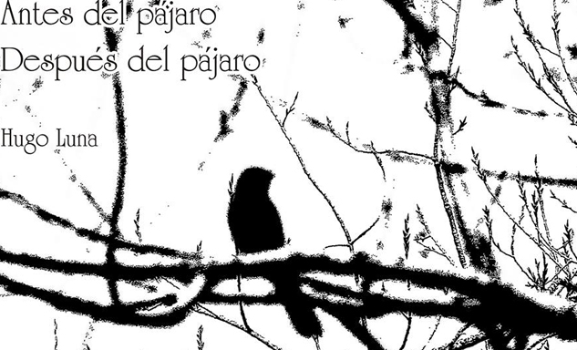 Gabriela Yocco: Antes del pájaro Después del pájaro